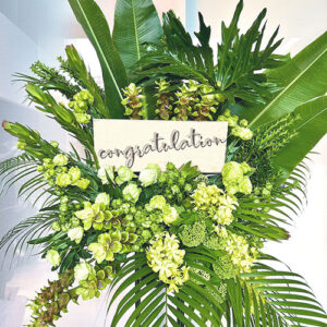 standflower_ luxgreen